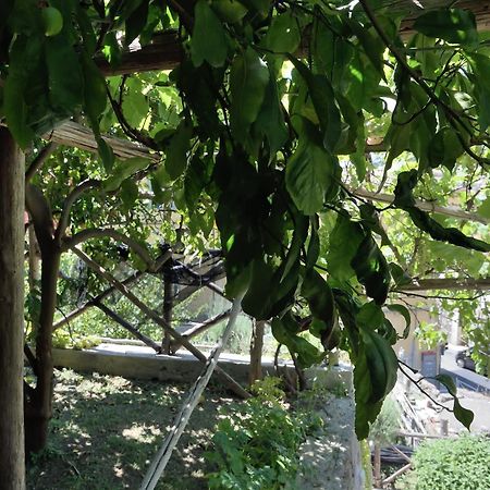 Aquarius Maiori B&B Dış mekan fotoğraf