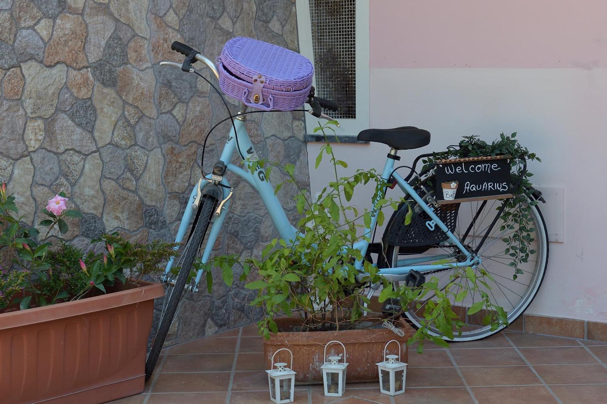 Aquarius Maiori B&B Dış mekan fotoğraf